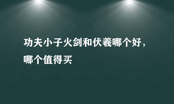 功夫小子火剑和伏羲哪个好，哪个值得买