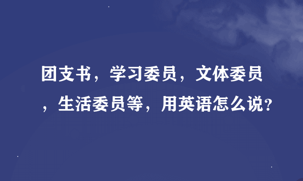 团支书，学习委员，文体委员，生活委员等，用英语怎么说？