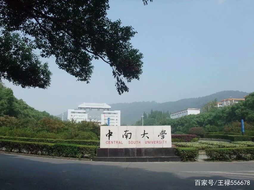 中南大学的就业前景如何？