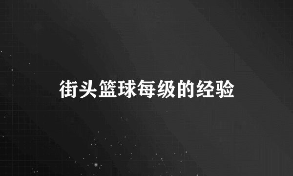 街头篮球每级的经验