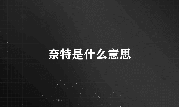 奈特是什么意思