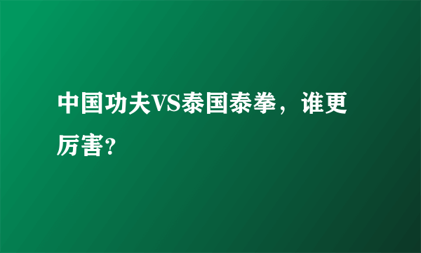 中国功夫VS泰国泰拳，谁更厉害？