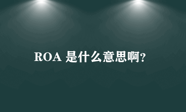 ROA 是什么意思啊？