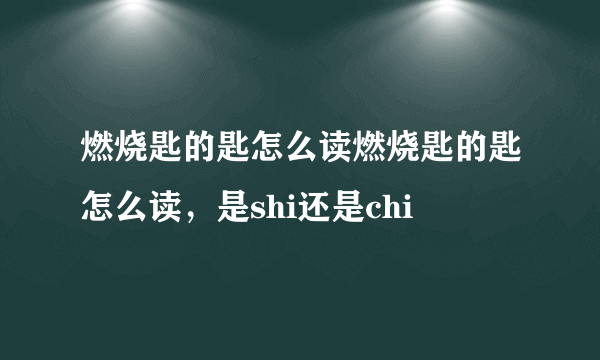 燃烧匙的匙怎么读燃烧匙的匙怎么读，是shi还是chi