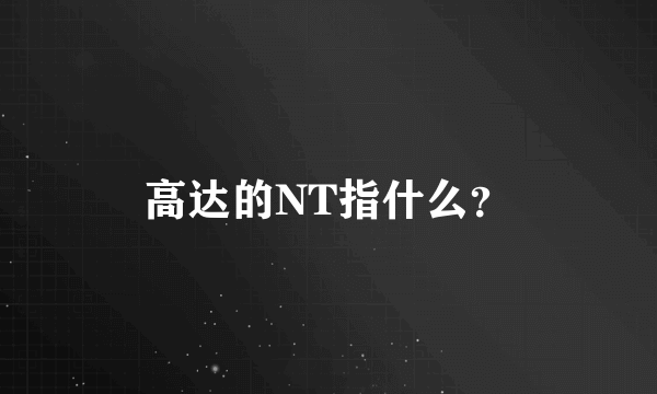 高达的NT指什么？