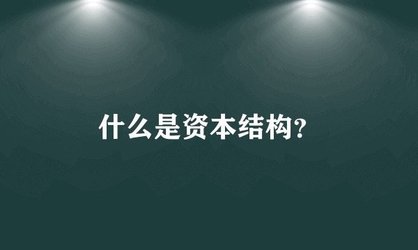 什么是资本结构？