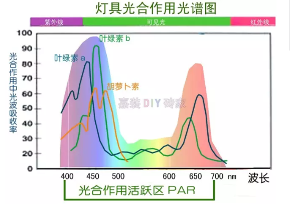 光谱是什么？