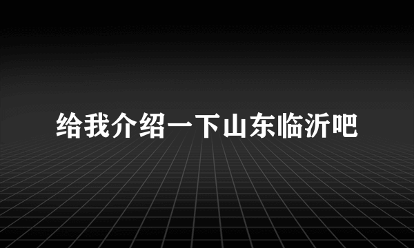 给我介绍一下山东临沂吧