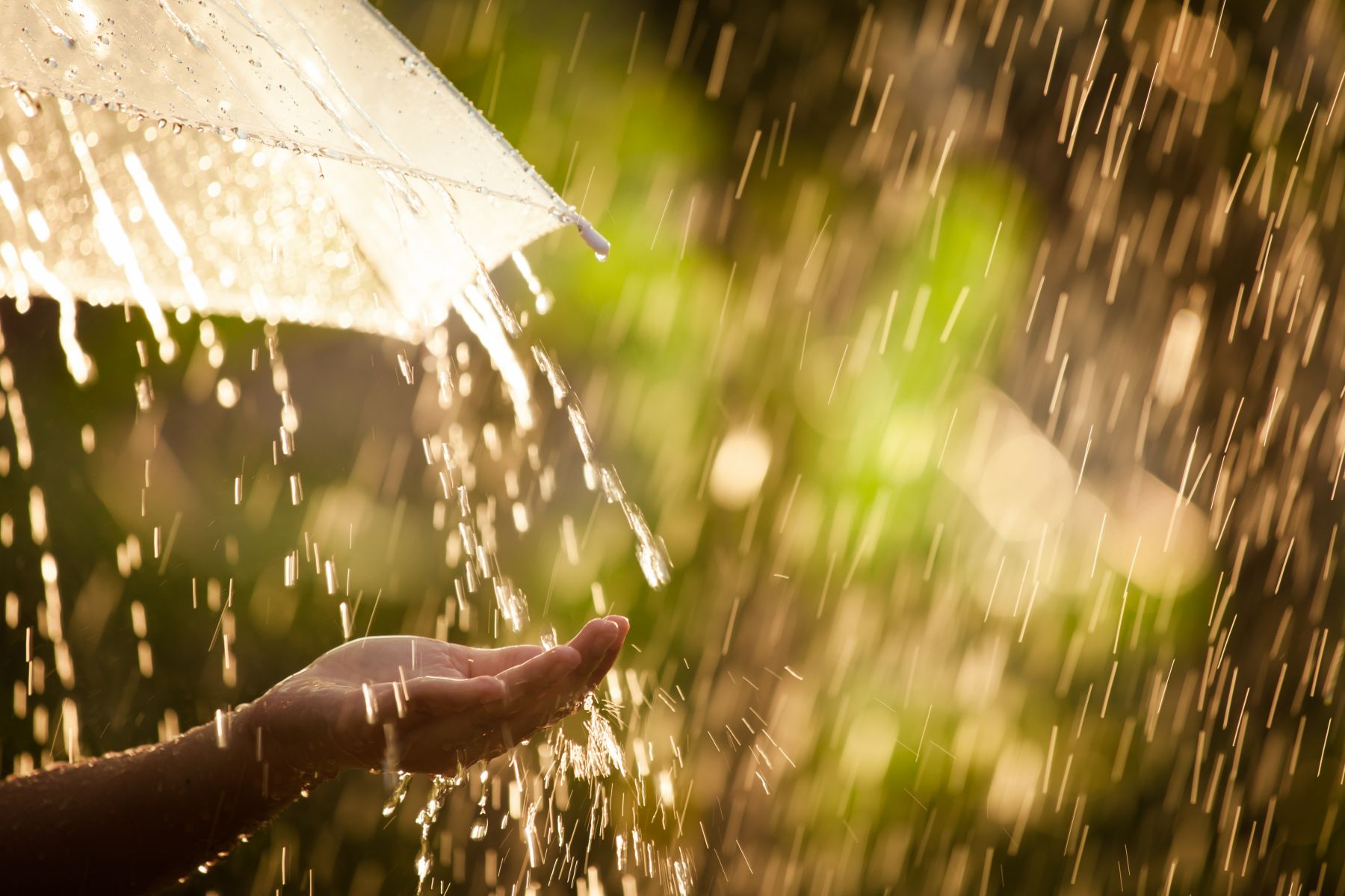 什么是人工降雨？