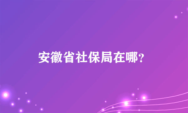 安徽省社保局在哪？