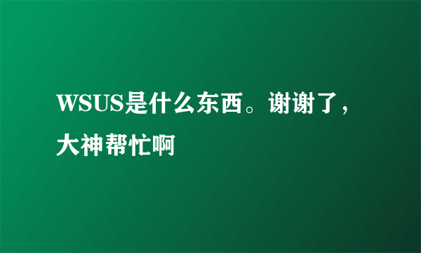 WSUS是什么东西。谢谢了，大神帮忙啊