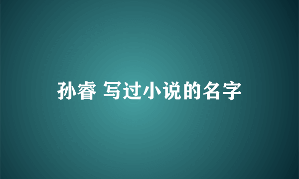 孙睿 写过小说的名字