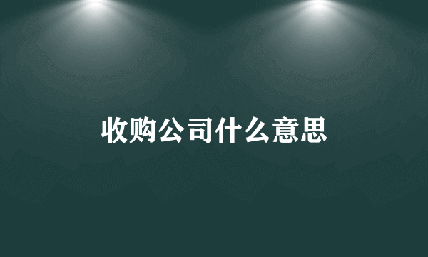 收购公司什么意思