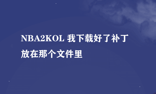 NBA2KOL 我下载好了补丁放在那个文件里