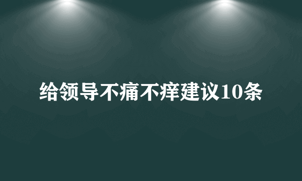 给领导不痛不痒建议10条