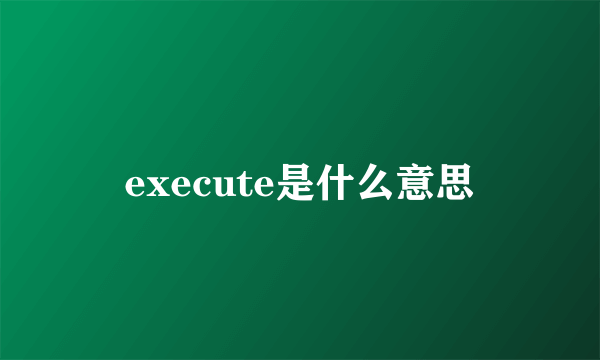 execute是什么意思