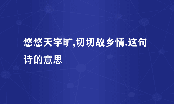 悠悠天宇旷,切切故乡情.这句诗的意思