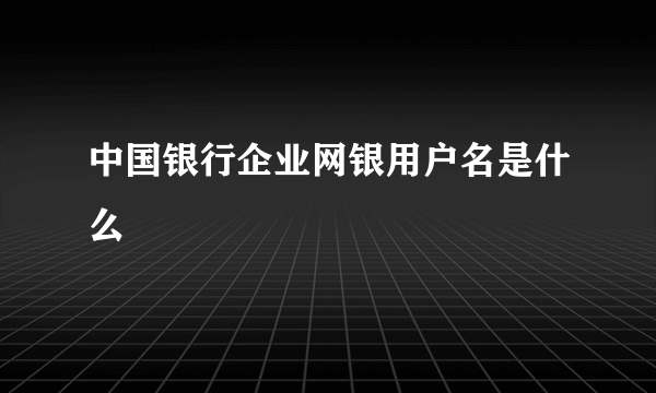 中国银行企业网银用户名是什么