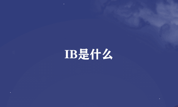 IB是什么