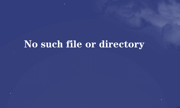 No such file or directory