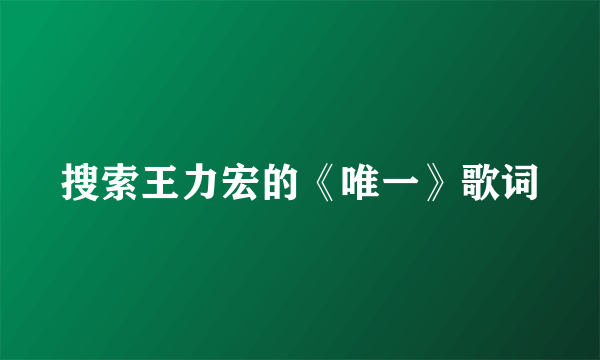 搜索王力宏的《唯一》歌词