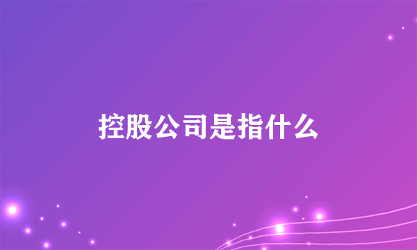 控股公司是指什么