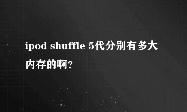 ipod shuffle 5代分别有多大内存的啊？