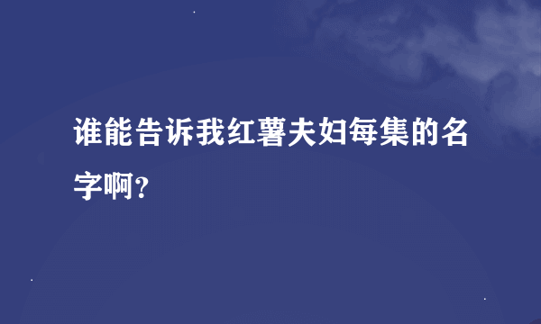 谁能告诉我红薯夫妇每集的名字啊？