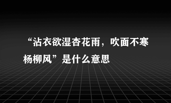 “沾衣欲湿杏花雨，吹面不寒杨柳风”是什么意思