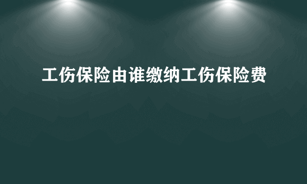 工伤保险由谁缴纳工伤保险费