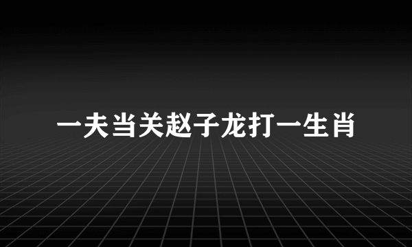 一夫当关赵子龙打一生肖