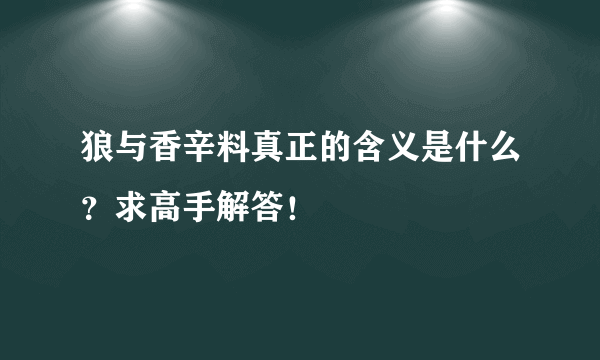 狼与香辛料真正的含义是什么？求高手解答！