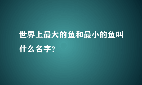 世界上最大的鱼和最小的鱼叫什么名字？