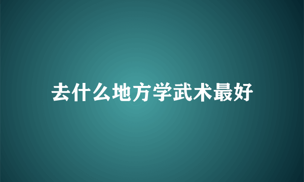 去什么地方学武术最好