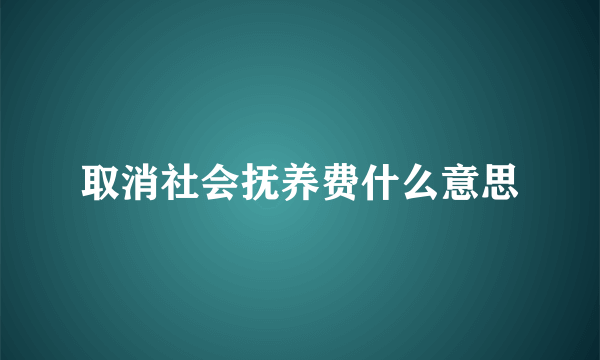 取消社会抚养费什么意思