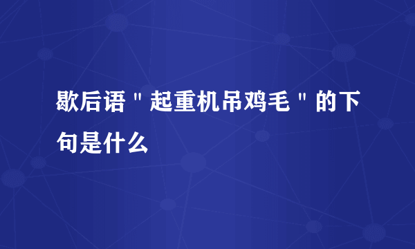 歇后语＂起重机吊鸡毛＂的下句是什么