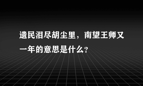 遗民泪尽胡尘里，南望王师又一年的意思是什么？