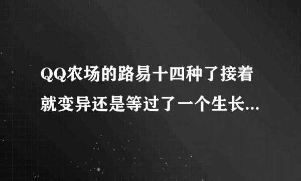 QQ农场的路易十四种了接着就变异还是等过了一个生长阶段才变异