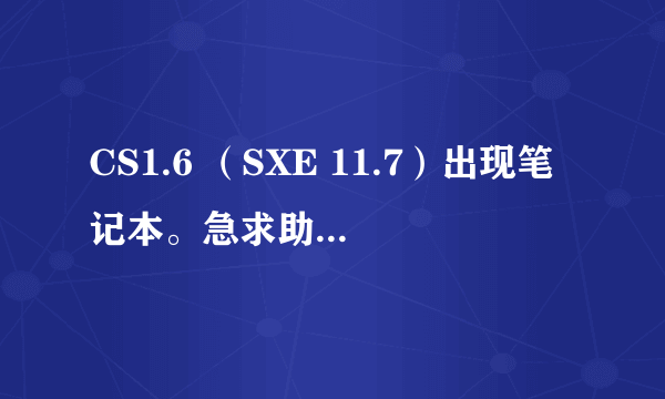 CS1.6 （SXE 11.7）出现笔记本。急求助！！！！！！！！