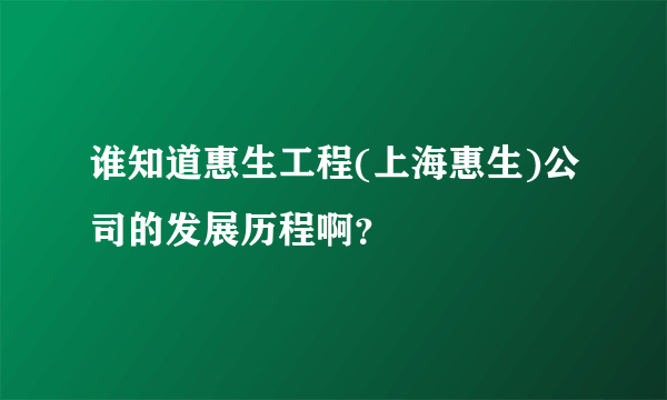 谁知道惠生工程(上海惠生)公司的发展历程啊？