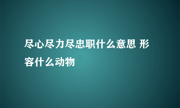 尽心尽力尽忠职什么意思 形容什么动物