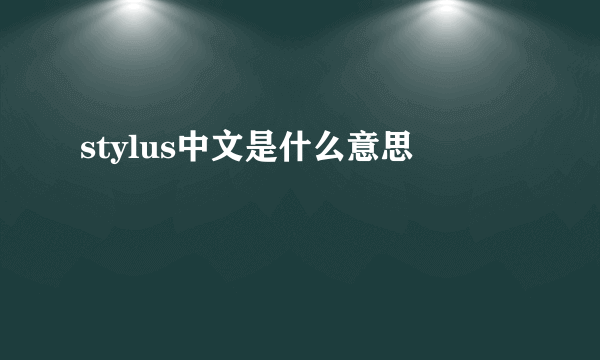 stylus中文是什么意思