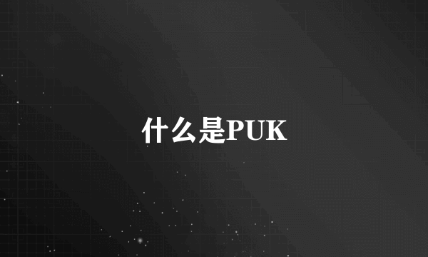 什么是PUK