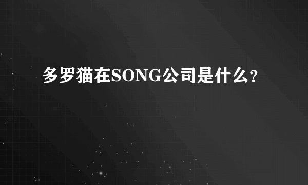 多罗猫在SONG公司是什么？