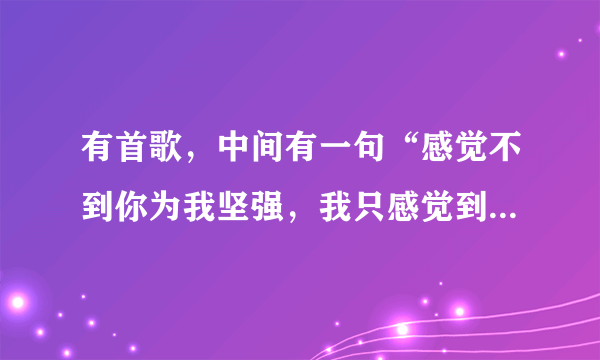 有首歌，中间有一句“感觉不到你为我坚强，我只感觉到你在对我说谎……”是个男的唱的很有节奏感是什么歌