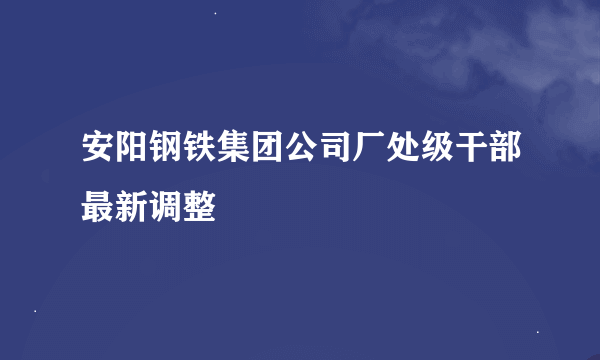 安阳钢铁集团公司厂处级干部最新调整