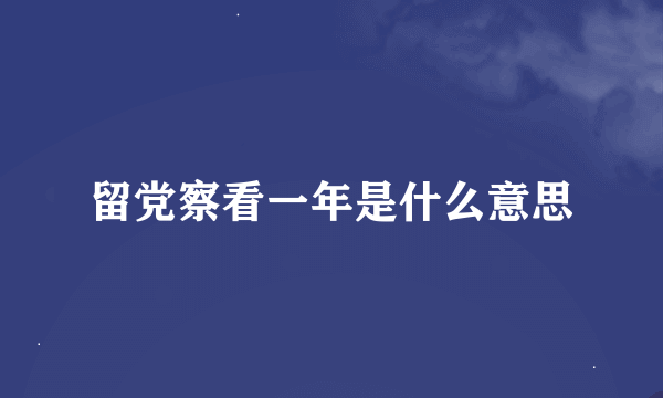 留党察看一年是什么意思