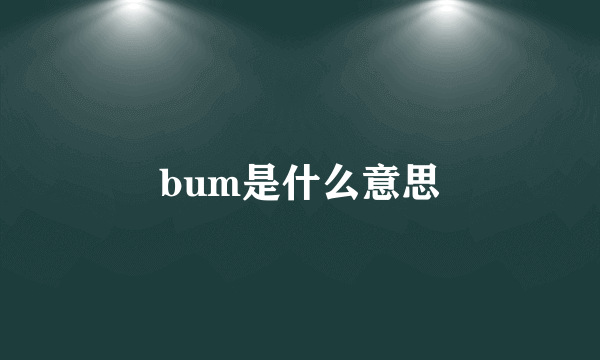 bum是什么意思