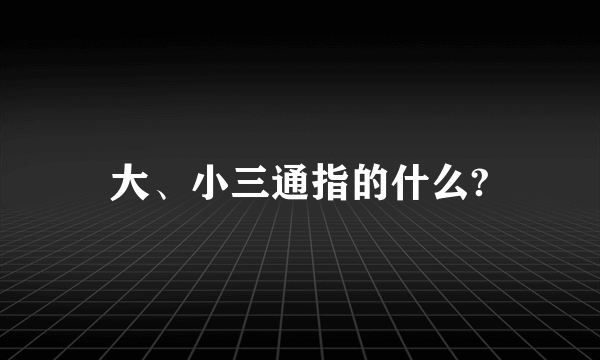 大、小三通指的什么?