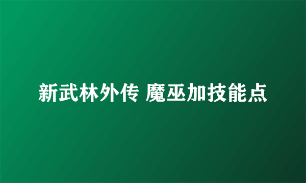 新武林外传 魔巫加技能点